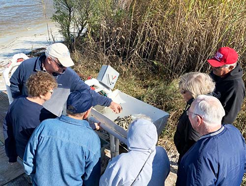 Navy Cove Oysters Tour